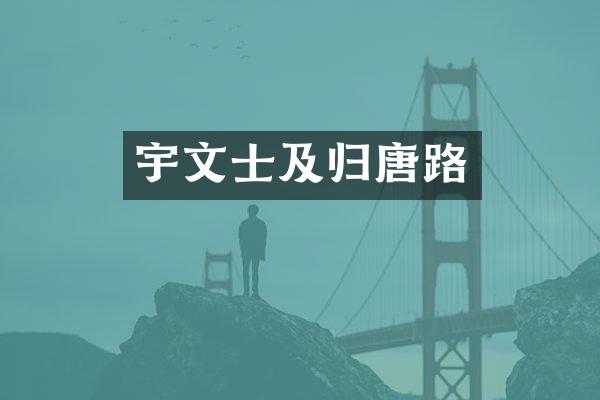 宇文士及归唐路