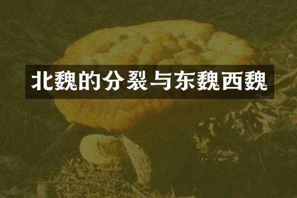 北魏的分裂与东魏西魏