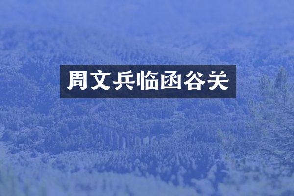 周文兵临函谷关