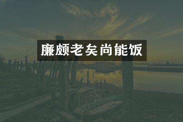 廉颇老矣尚能饭