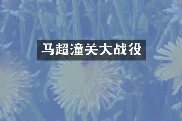 马超潼关大战役