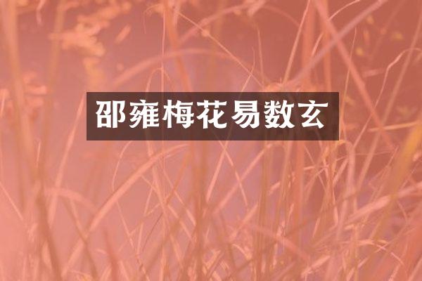 邵雍梅花易数玄