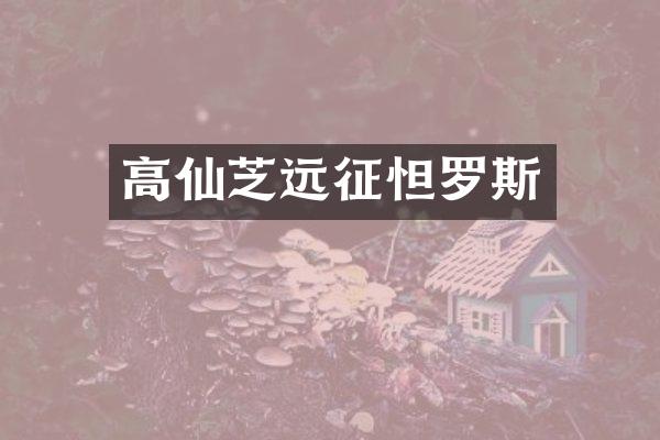 高仙芝远征怛罗斯