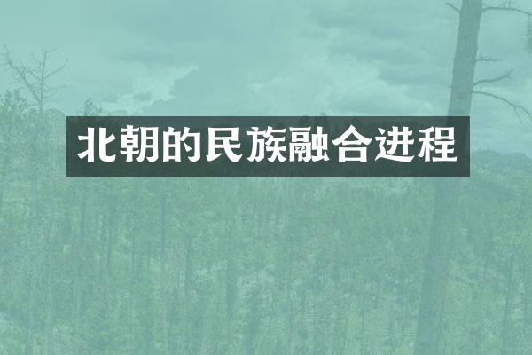 北朝的民族融合进程