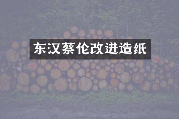 东汉蔡伦改进造纸