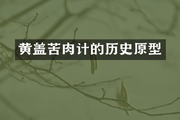 黄盖苦肉计的历史原型