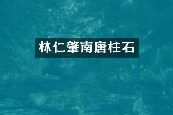 林仁肇南唐柱石