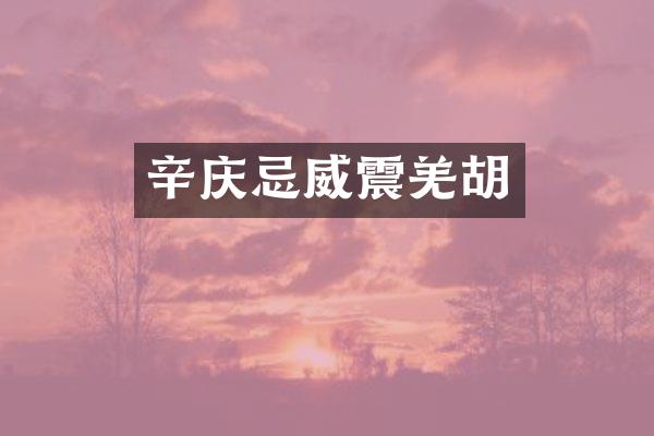 辛庆忌威震羌胡