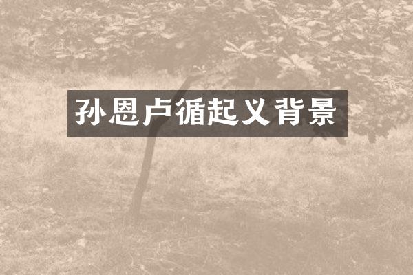 孙恩卢循起义背景