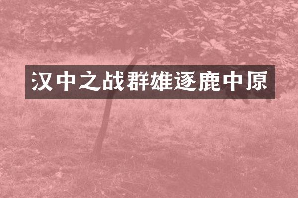 汉中之战群雄逐鹿中原