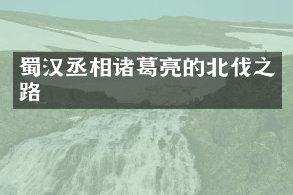 蜀汉丞相诸葛亮的北伐之路