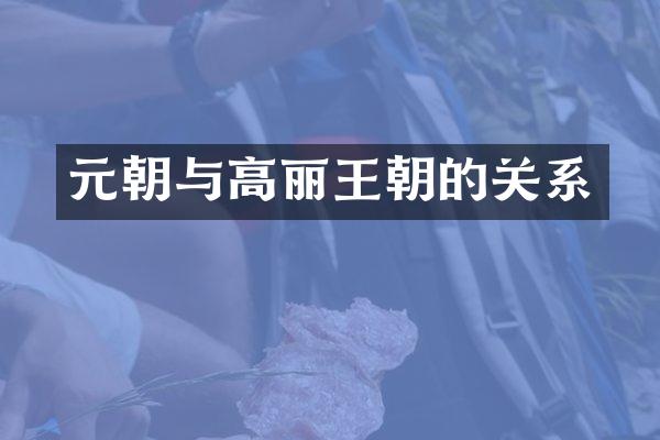 元朝与高丽王朝的关系
