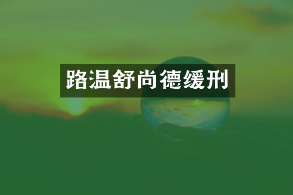 路温舒尚德缓刑