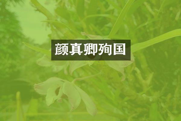 颜真卿殉国