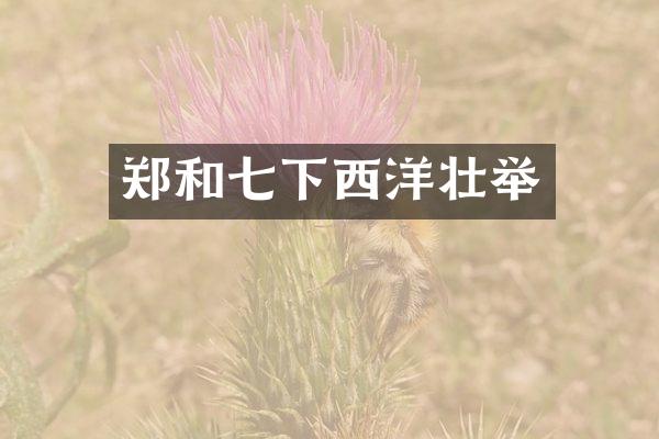 郑和七下西洋壮举