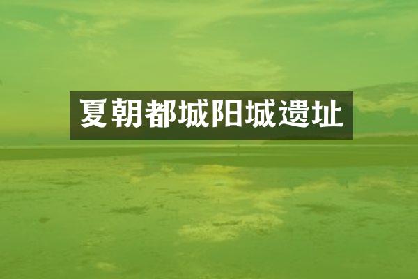 夏朝都城阳城遗址
