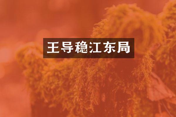 王导稳江东局