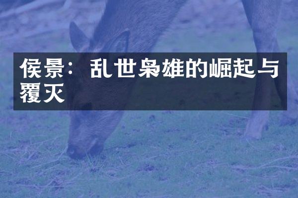 侯景：乱世枭雄的崛起与覆灭
