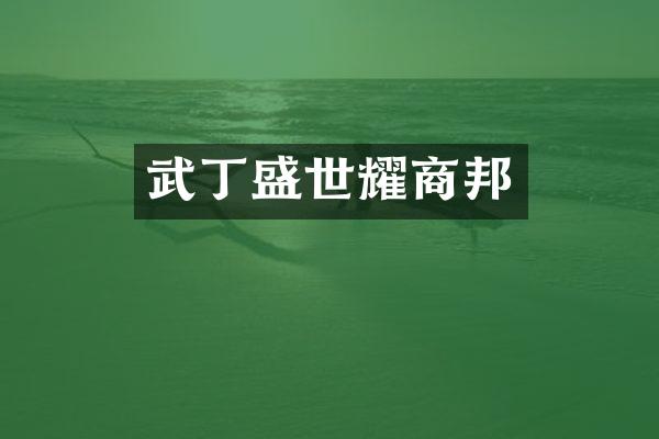 武丁盛世耀商邦
