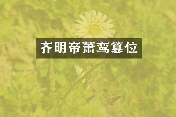 齐明帝萧鸾篡位