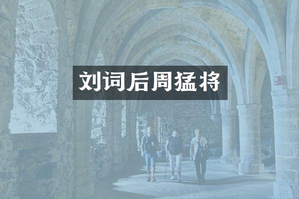 刘词后周猛将