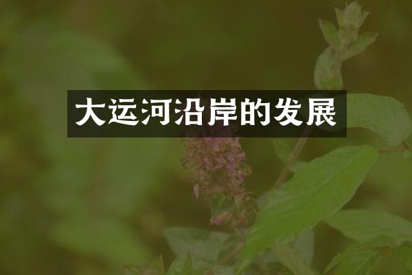 大运河沿岸的发展