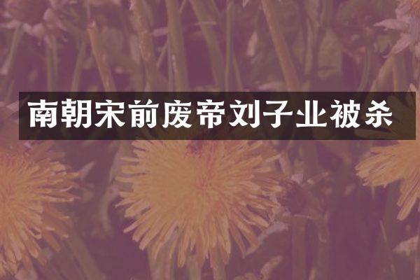 南朝宋前废帝刘子业
