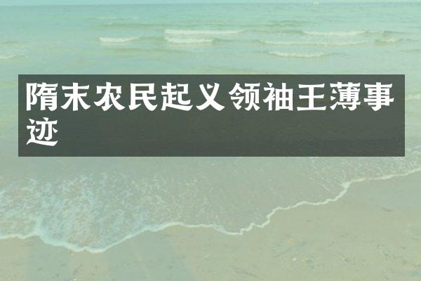 隋末农民起义事迹