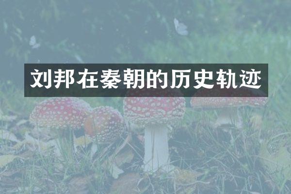 刘邦在秦朝的历史轨迹