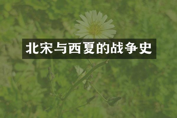 北宋与西夏的战争史