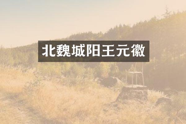 北魏城阳王元徽