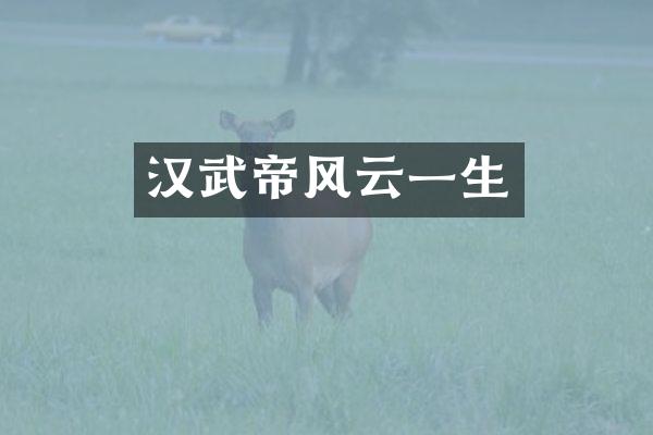 汉武帝风云一生