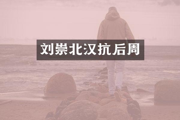刘崇北汉抗后周
