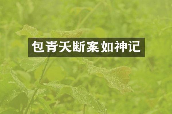 包青天断案如神记