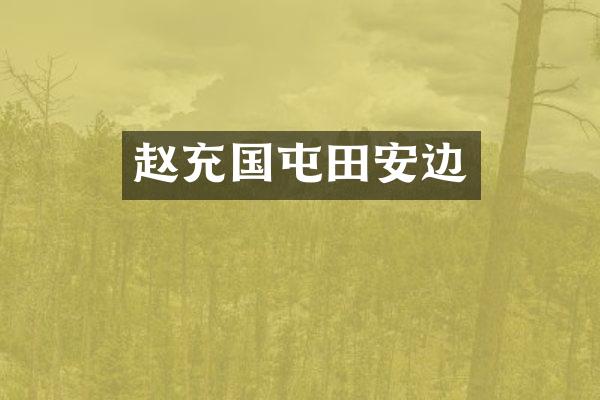 赵充国屯田安边