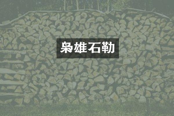枭雄石勒