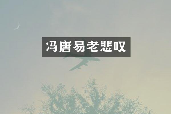 冯唐易老悲叹