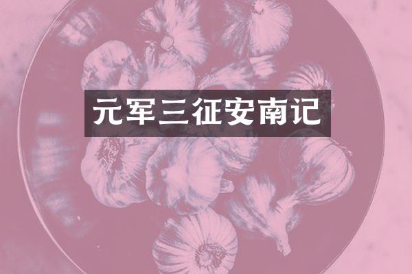 元军三征安南记