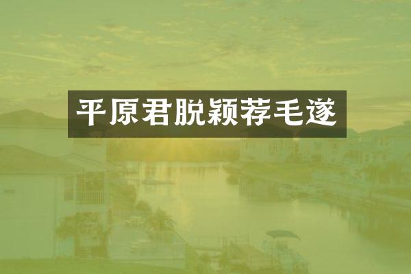 平原君脱颖荐毛遂