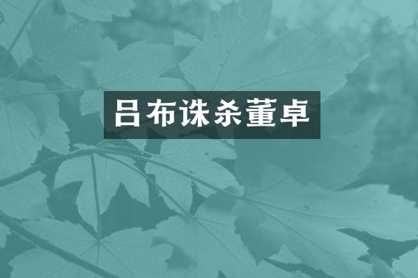 吕布诛杀董卓