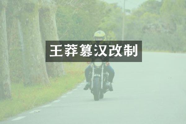 王莽篡汉改制
