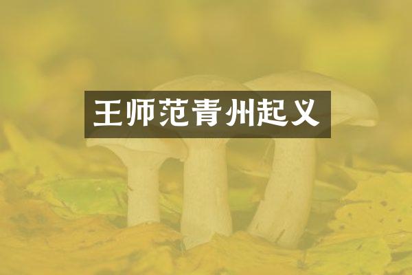 王师范青州起义
