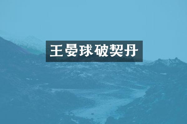 王晏球破契丹
