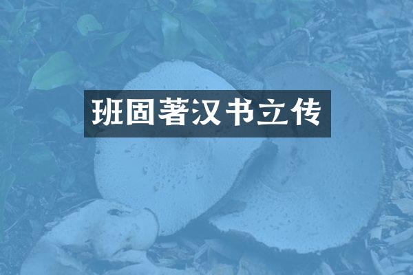 班固著汉书立传