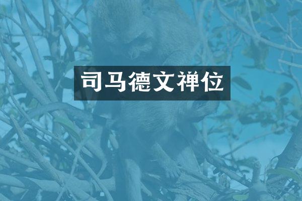 司马德文禅位