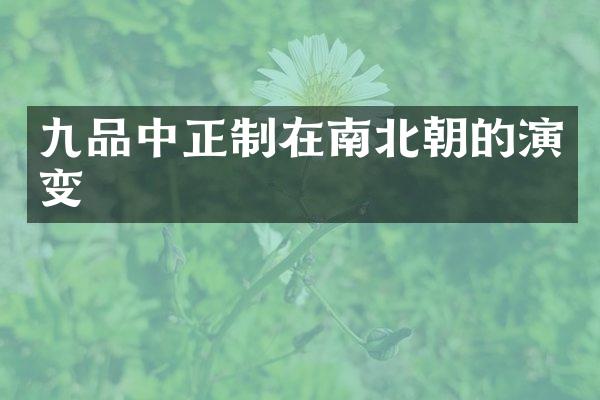 九品中正制在南北朝的演变