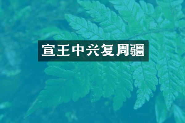 宣王中兴复周疆