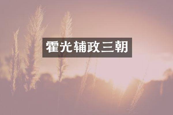 霍光辅政三朝