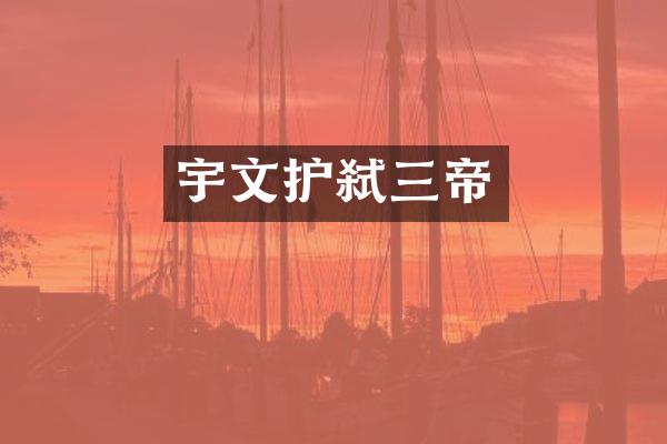 宇文护弑三帝