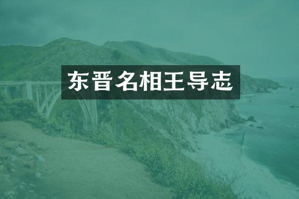 东晋名相王导志